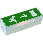 BAES évacuation Standard - 45lm/1h - IP42 IK07 - Livré sans pictogrammes