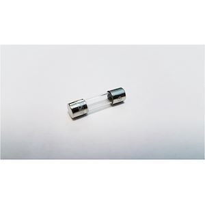 Fusible Temporisé 5x20 Mm T125mA - Paquet De 10 - Conforme Norme RoHS - Neuf