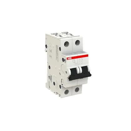 Disjoncteurs SN201/S200 - 6000/10kA 2P