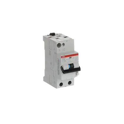 Disjoncteur différentiel DS201/DS203NC Courbe C
