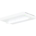 BAES ambiance SATI - 400 lm/1h - IP43 IK07 - Design épuré - diffusion unifo