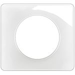 Plaque de finition Céliane 1 poste