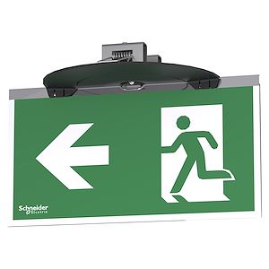 Exiway Smart Beam