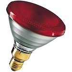 BAI H7 PX26D 12V 55W Calotte noire Halogene 11.6x60mm Lampe phare automobile  Bailey