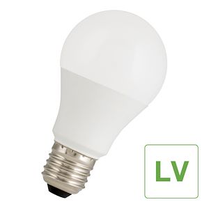 Ampoules basse tension 12V E14 - Technologie Services