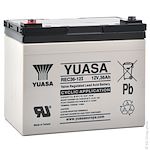 Enix energies AMP92102, Batterie(s) Batterie onduleur (UPS) YUASA  NPW45-12L 12V 7.5Ah F6.35
