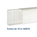 010427 Goulotte 2 compartiments DLP monobloc - 50x150mm - blanc -  professionnel