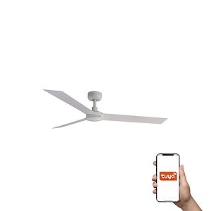 Ventilateur De Plafond De 20 Pouces Avec Lumière Et Télécommande, Moderne Et Luxueux, Changement